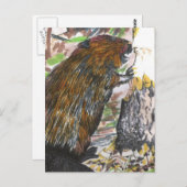 ビーバ忙しー ポストカード (正面/裏面)