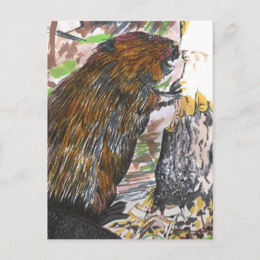 ビーバ忙しー ポストカード (正面)