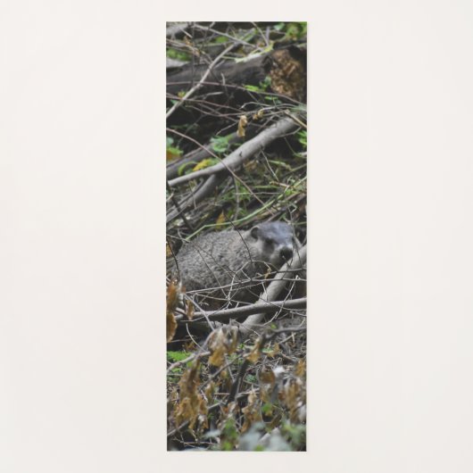 ビーバ忙しー ヨガマット (正面)