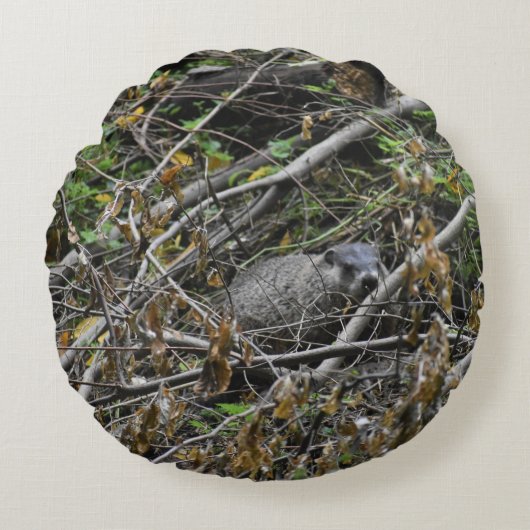 ビーバ忙しー ラウンドクッション (正面)