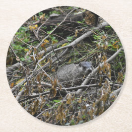 ビーバ忙しー ラウンドペーパーコースター