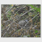 ビーバ忙しー ラッピングペーパー (フラット)