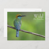 ビーパーソナライズされたイター ポストカード (正面/裏面)