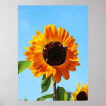 ビーパーティー1