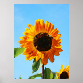 ビーパーティー1 ポスター