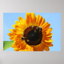 ビーパーティー2