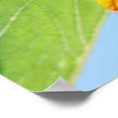 ビーパーティー2 ポスター (角)