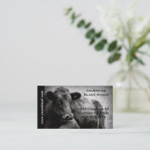 ビーフの牧場または農場のための黒いアンガスの牛写真 名刺 (スタンド正面)