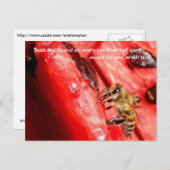 ビーファクトポストカード/スイカの上にビー ポストカード (正面/裏面)