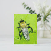 ビーフライ葉書 ポストカード (スタンド正面)