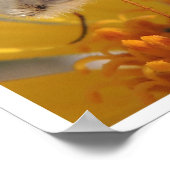 ビーフライ – 家族産ボンベイ科 ポスター (角)