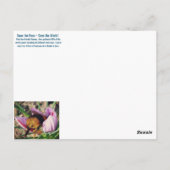 ビーフレンドリーフラワーポストカード ポストカード (裏面)