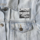 ビーフ、子牛の肉、ポークおよびマトンの切口1802年 缶バッジ (インサイチュ)