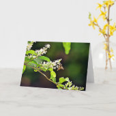 ビーブロッサム聖なる書物、 経典カード詩篇119:103 カード (黄色い花)