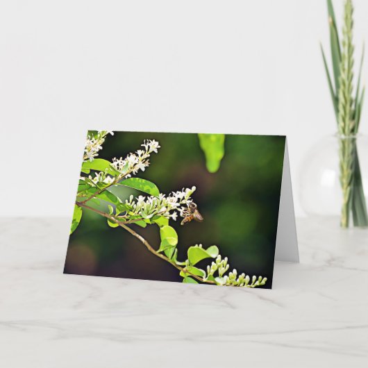 ビーブロッサム聖なる書物、 経典カード詩篇119:103 カード (正面)