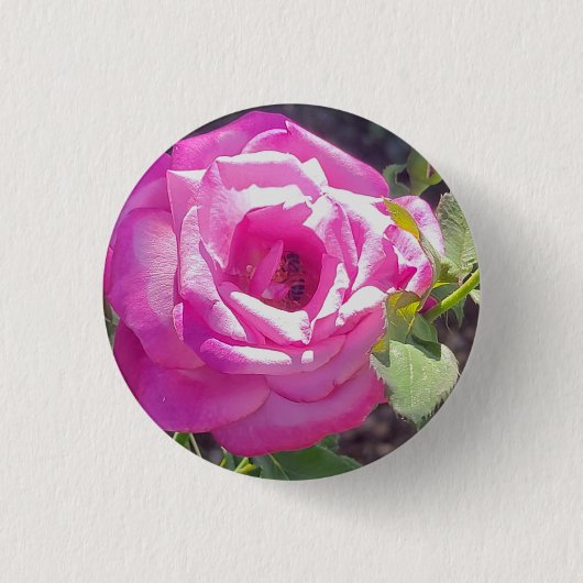 ビーボタン付きピンクローズ 缶バッジ (正面)
