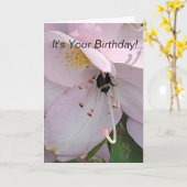 ビーボトム誕生日 カード (黄色い花)