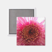 ビーミング マグネット (正面/裏面)