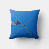 ビームアンテナ及びコールサイン クッション (裏面)