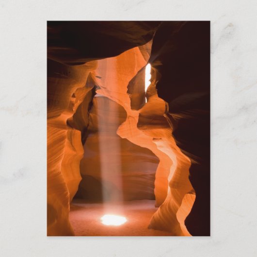 ビーム・ミー・アップII ポストカード (正面)