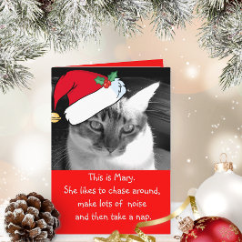 ビーメアリーホリデーカード シーズンカード