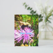 ビーラブオリジナル葉書 ポストカード (スタンド正面)