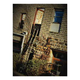 ビールの葉 フォトプリント           