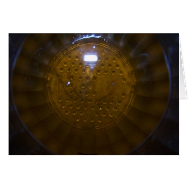 ビールを元気づけます (正面横)