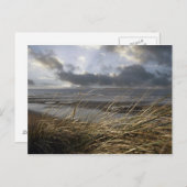 ビールアシのはがき ポストカード (正面/裏面)