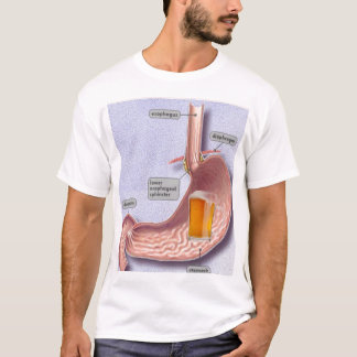 ビール腹 Tシャツ