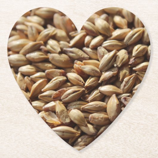 ビール醸造麦麦麦麦麦麦粒の背景 ペーパーコースター (正面)