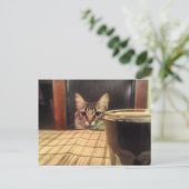 ビール飲む?おもしろいユーモア猫の写真撮影 ポストカード (スタンド正面)