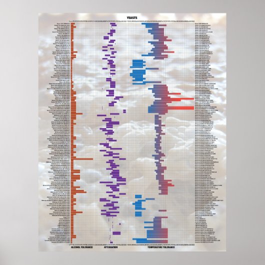 ビール・バイ・ザ・ナンバーズ – イースト ポスター (正面)