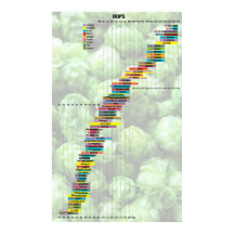 ビール・バイ・ザ・ナンバーズ – ホップ