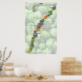 ビール・バイ・ザ・ナンバーズ – ホップ ポスター (キッチン)