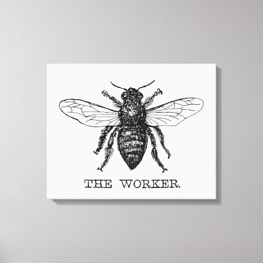 ビーワーカーハニーブラック（昆虫）マルハナバチ キャンバスプリント (正面)
