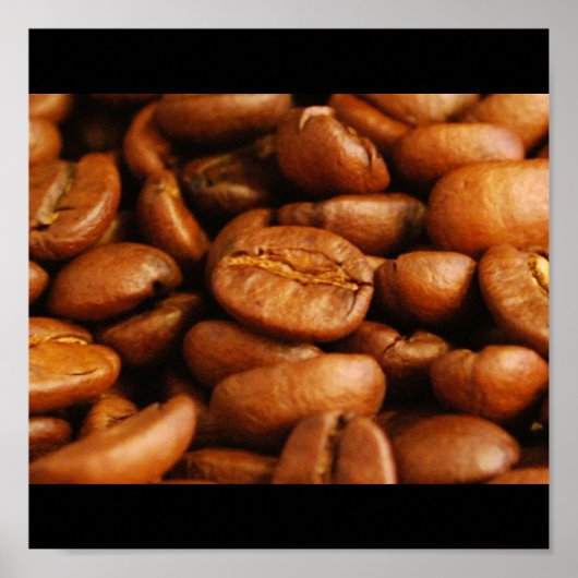 ビーンズ・ガロール ポスター (正面)