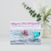 ビーンズ・サーフドッグ ポストカード (スタンド正面)