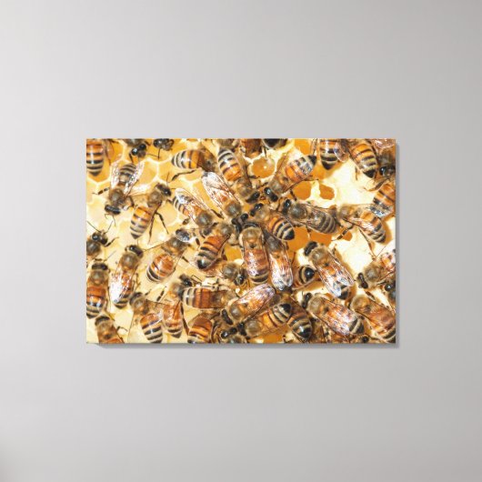 ビー保ズアットアロズハニーファーム キャンバスプリント (正面)