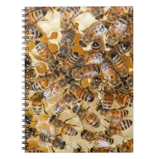 ビー保ズアットアロズハニーファーム ノートブック (正面)
