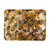 ビー保ズアットアロズハニーファーム マグネット (横)