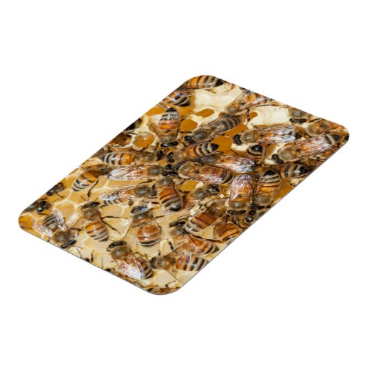 ビー保ズアットアロズハニーファーム マグネット (左側)