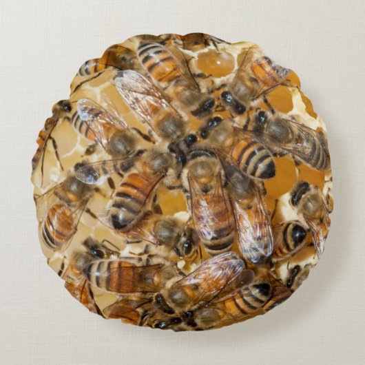 ビー保ズアットアロズハニーファーム ラウンドクッション (正面)