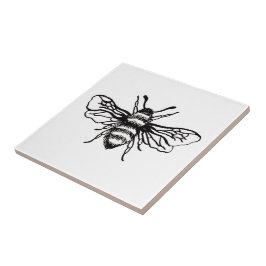 ビー壁タイル タイル