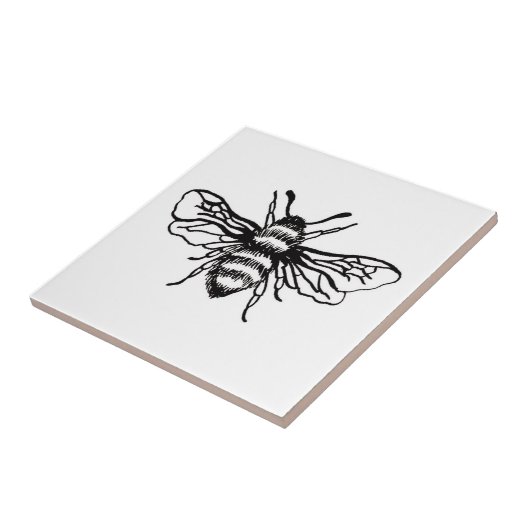 ビー壁タイル タイル (側面)