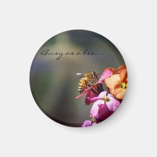 ビー忙しの報酬として マグネット (正面)