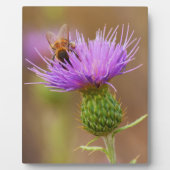 ビー忙しオンパープルアザミ フォトプラーク (正面)