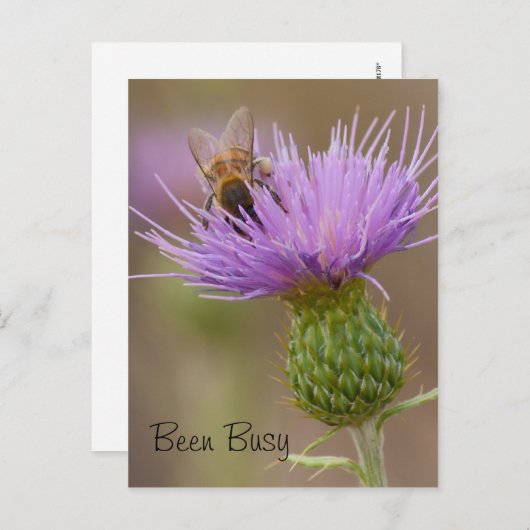 ビー忙しオンパープルアザラシ写真カスタム ポストカード (正面/裏面)