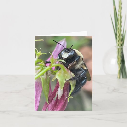 ビー忙しツとして 案内状 (正面)