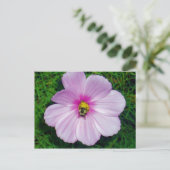 ビー忙しハガキ ポストカード (スタンド正面)